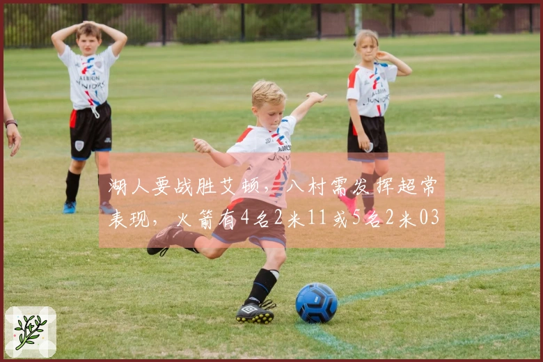 湖人要战胜艾顿，八村需发挥超常表现，火箭有4名2米11或5名2米03球员助力
